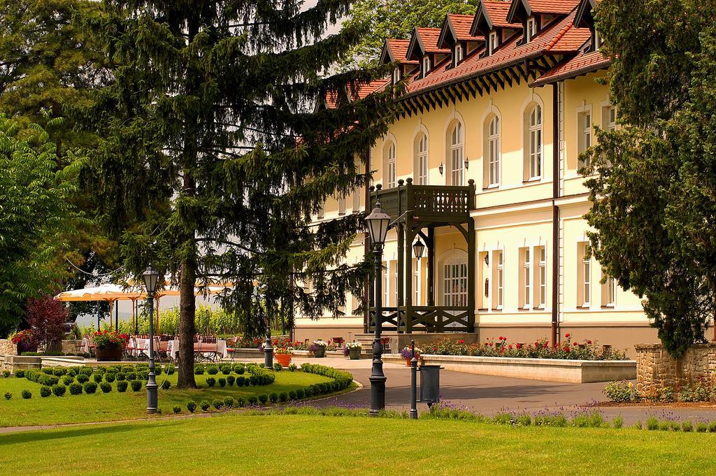 Castle Hotel Grof Degenfeld Superior Tarcal Exterior photo